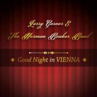 Good Night In Vienna