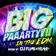 DJ FUMIYEAH!/Big Paaartyy!! In The Edm Mixed By Dj Fumiyeah!