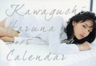 ����t�� 2015�N �J�����_�[