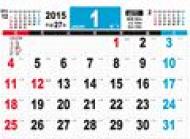 �������ݎ��݃V���v���J�����_�[b3���R�� 2015