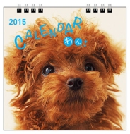 2015 �J�����_�[ ���