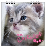 2015 �J�����_�[ �ɂ��