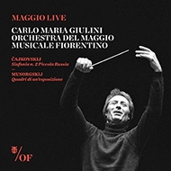 Pictures At An Exhibition: Giulini / Maggio Musicale Fiorentino O +tchaikovsky: Sym, 2,
