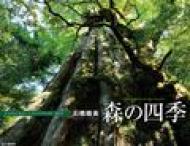 �X�̎l�G�J�����_�[ 2015 2015�N�J�����_�[