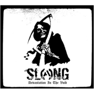 SLANG/Devastation In The Void
