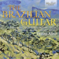 *ギター・オムニバス*/Flavio Apro： The Brazilian Guitar