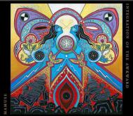 Integration Of The Awkward