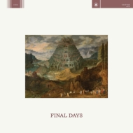 Cult Of Youth/Final Days (+downloadcode)(Ltd)