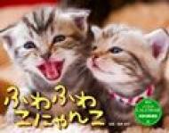 �ӂ�ӂ킱�ɂ�� �C���v���X�J�����_�[2015 A3�� �Ǌ|�^�C�v