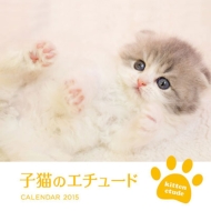 �q�L�̃G�`���[�h 2015 Calendar �Ǌ|�^�C�v 2015�N �J�����_�[