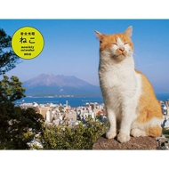 �⍇���� �˂��J�����_�[ B4 �Ǌ|�^�C�v 2015�N �J�����_�[