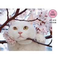 �⍇���� �˂������J�����_�[ ���^�C�v 2015�N �J�����_�[