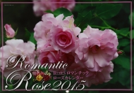 Bises ���}���`�b�N���[�Y�J�����_�[ A3 �Ǌ|�^�C�v 2015�N �J�����_�[