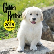 �唻�J�����_�[ �S�[���f���E���g���[�o�[ �Ǌ|�^�C�v 2015�N�J�����_�[