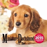 �唻�J�����_�[ �~�j�`���A�E�_�b�N�X�t���g �Ǌ|�^�C�v 2015�N�J�����_�[