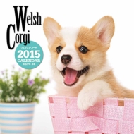 �唻�J�����_�[ �E�F���V���E�R�[�M �Ǌ|�^�C�v 2015�N�J�����_�[