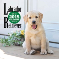 �唻�J�����_�[ ���u���h�[���E���g���[�o�[ �Ǌ|�^�C�v 2015�N�J�����_�[