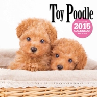 �唻�J�����_�[ �g�[�C�E�v�[�h�� �Ǌ|�^�C�v 2015�N�J�����_�[