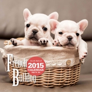 �唻�J�����_�[ �t�����`�E�u���h�b�O �Ǌ|�^�C�v 2015�N�J�����_�[