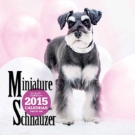 �唻�J�����_�[ �~�j�`���A�E�V���i�E�c�@�[ �Ǌ|�^�C�v 2015�N�J�����_�[