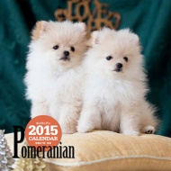 �唻�J�����_�[ �|�����j�A�� �Ǌ|�^�C�v 2015�N�J�����_�[