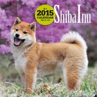 �唻�J�����_�[ �Č� �Ǌ|�^�C�v 2015�N�J�����_�[