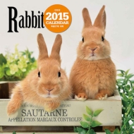 �唻�J�����_�[ �E�T�M �Ǌ|�^�C�v 2015�N�J�����_�[