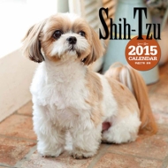 �唻�J�����_�[ �V�[�E�Y�[ �Ǌ|�^�C�v 2015�N�J�����_�[