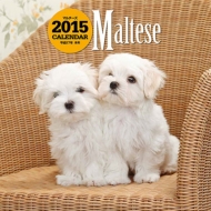 �唻�J�����_�[ �}���`�[�Y �Ǌ|�^�C�v 2015�N�J�����_�[