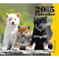 �~�j�J�����_�[ �Č� �Ǌ|�^�C�v 2015�N�J�����_�[