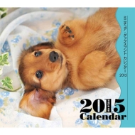 �~�j�J�����_�[ �~�j�`���A�E�_�b�N�X�t���g �Ǌ|�^�C�v 2015�N�J�����_�[