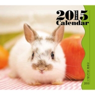 �~�j�J�����_�[ �E�T�M �Ǌ|�^�C�v 2015�N�J�����_�[