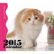 �~�j�J�����_�[ ���˂� �Ǌ|�^�C�v 2015�N�J�����_�[