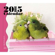 �~�j�J�����_�[ �C���R �Ǌ|�^�C�v 2015�N�J�����_�[