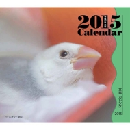 �~�j�J�����_�[ ���� �Ǌ|�^�C�v 2015�N�J�����_�[