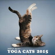 ���K�L���b�g�J�����_�[ �Ǌ|���^�C�v �Ǌ|�^�C�v 2015�N�J�����_�[