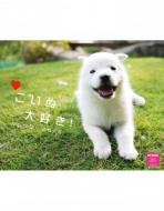 �����ʑ�D��!�J�����_�[ �Ǌ|�^�C�v 2015�N�J�����_�[