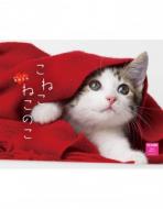 ���˂��˂��̂��J�����_�[ �Ǌ|�^�C�v 2015�N�J�����_�[