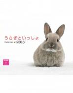 �������Ƃ�������J�����_�[ �Ǌ|�^�C�v 2015�N�J�����_�[