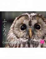 �ӂ��낤�J�����_�[ �Ǌ|�^�C�v 2015�N�J�����_�[