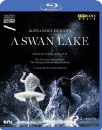 バレエ＆ダンス/A Swan Lake(Mikael Karlsson)： (Ekman)norwegian National Ballet