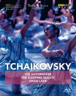 バレエ＆ダンス/Swan Lake Nutcracker Sleeping Beauty(Tchaikovsky)： Kirov Dutch National Teatro Alla Scala