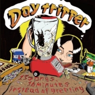 Day tripper/13songs 16minuites Instead Of Greeting