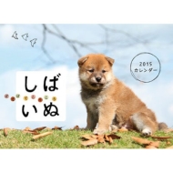 ���΂��ʃJ�����_�[ 2015