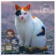 �O�єL�J�����_�[ 2015