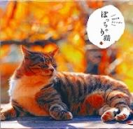 �ۂ������L�J�����_�[ 2015