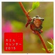 �J�G���J�����_�[ 2015