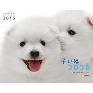 �q���ʃR���R���J�����_�[ 2015