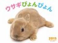 �E�T�M�҂��҂��J�����_�[ 2015