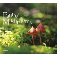 Fantasticmushroom�X�̂��̂��J�����_�[ 2015